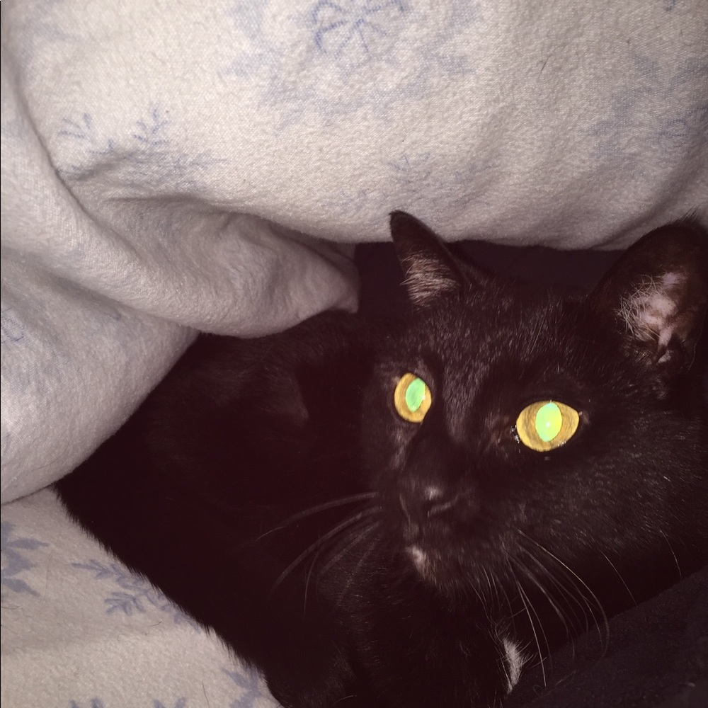 Meet your Posher, Amy